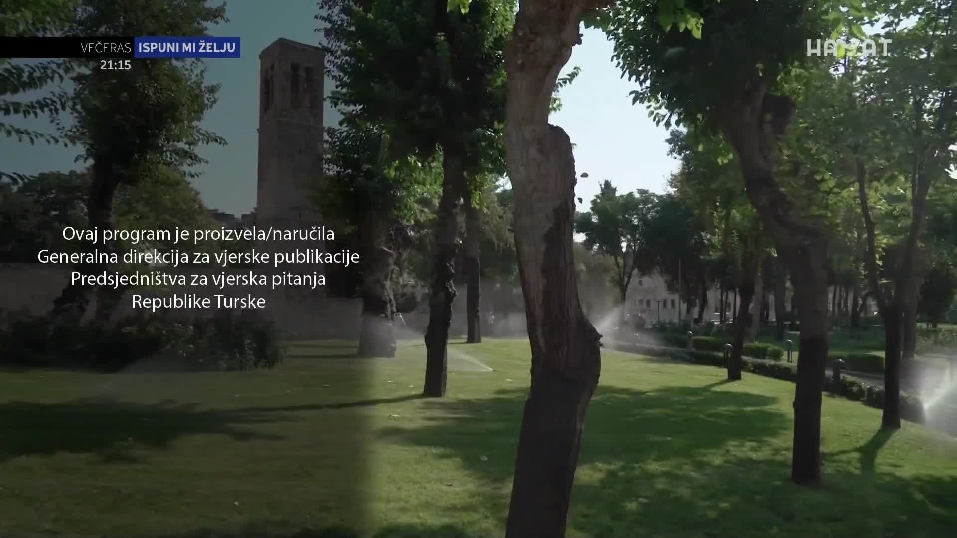 hayat