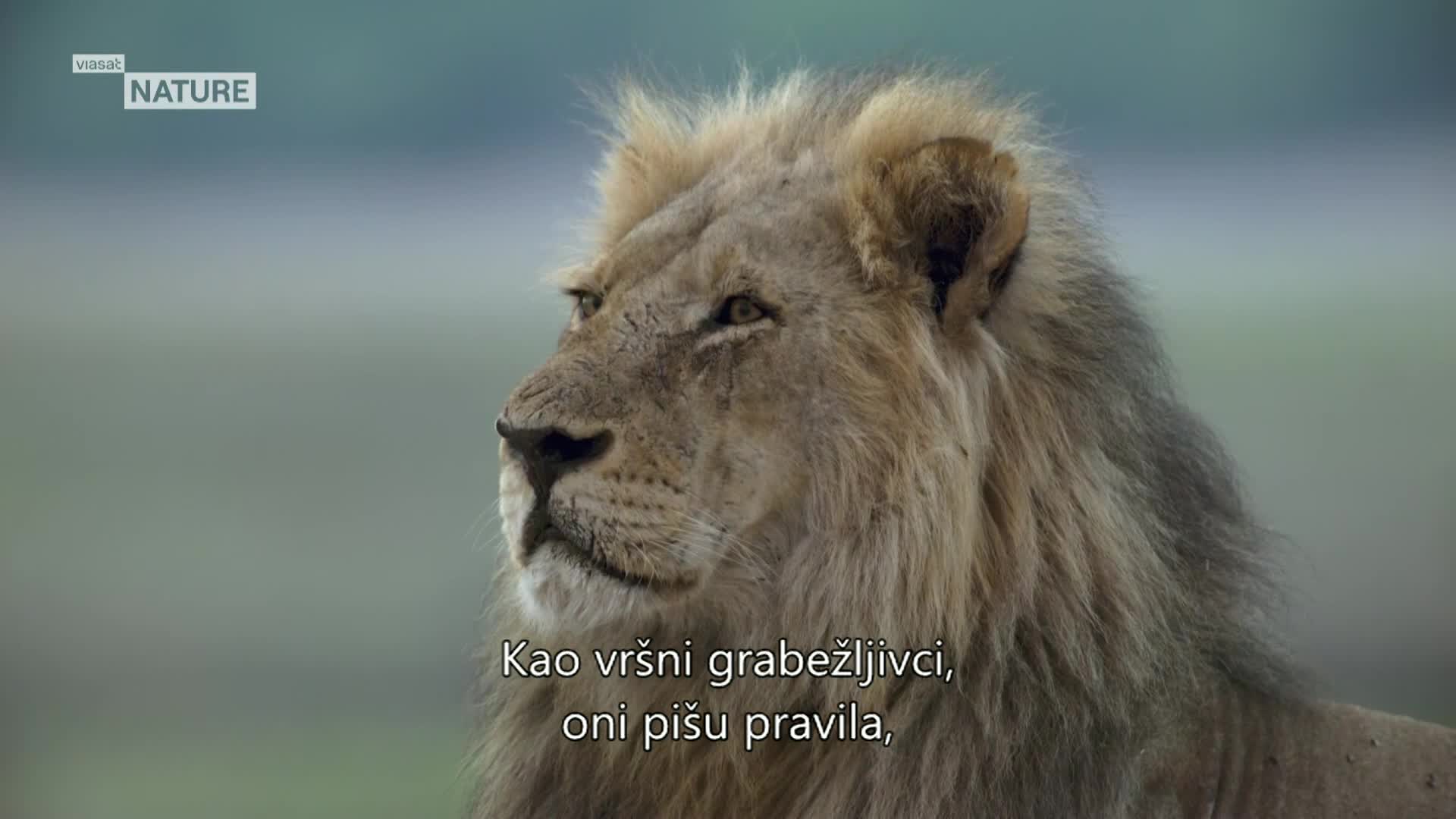 ViasatNature