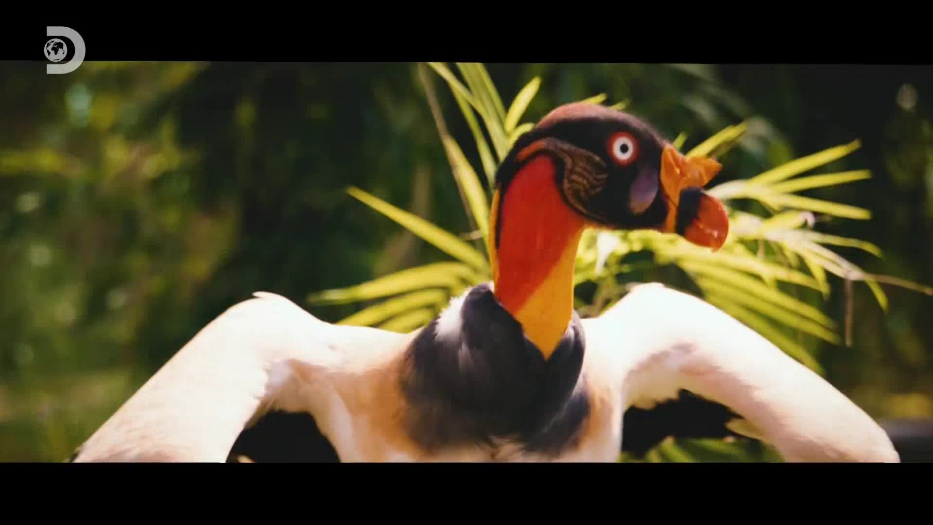 ViasatExplorer