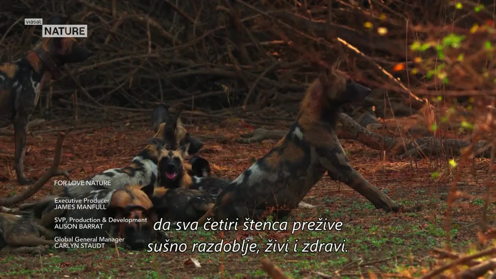 ViasatNature