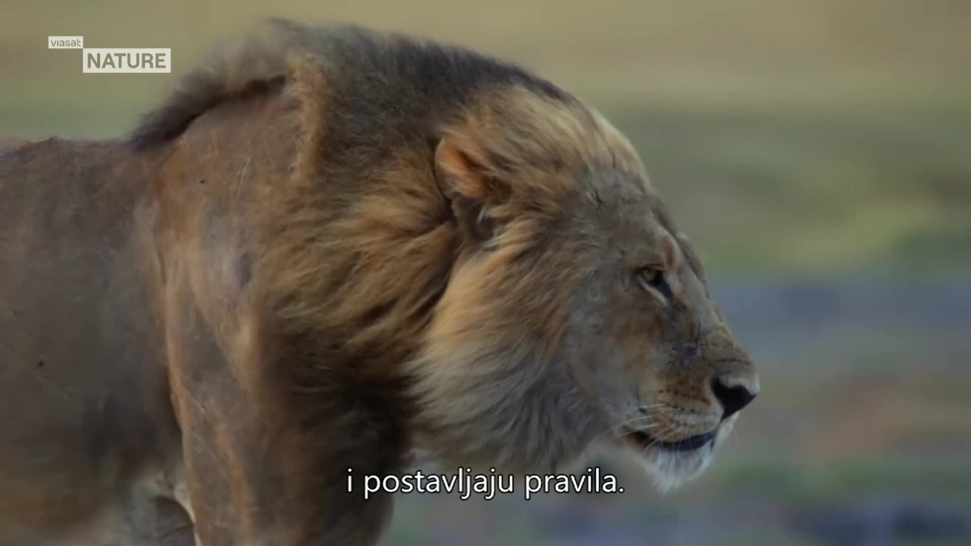 ViasatNature