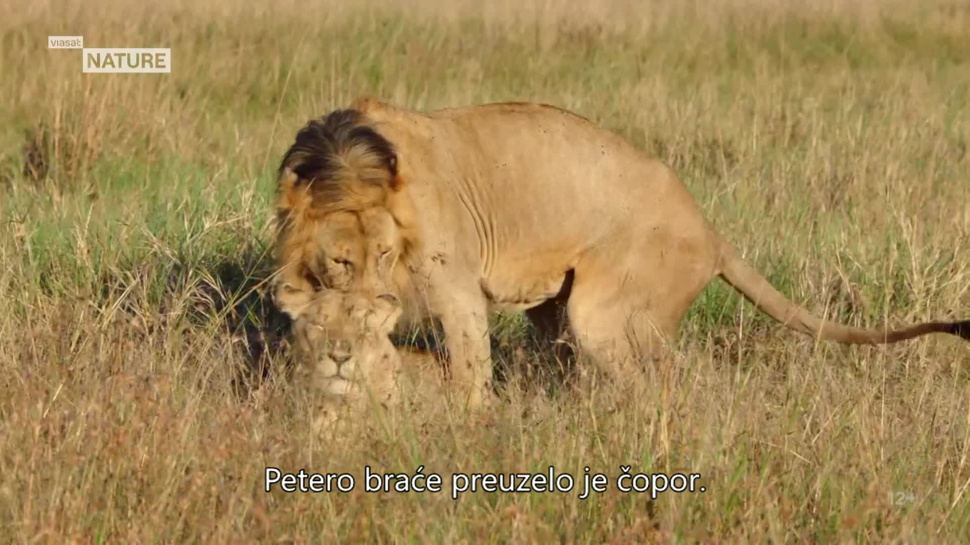 ViasatNature
