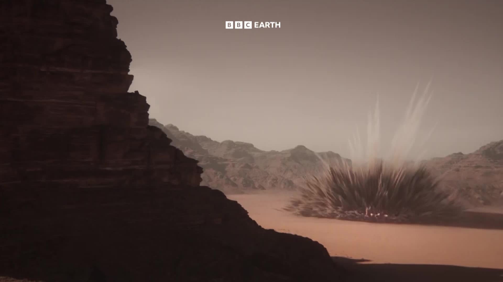 BBCEarth