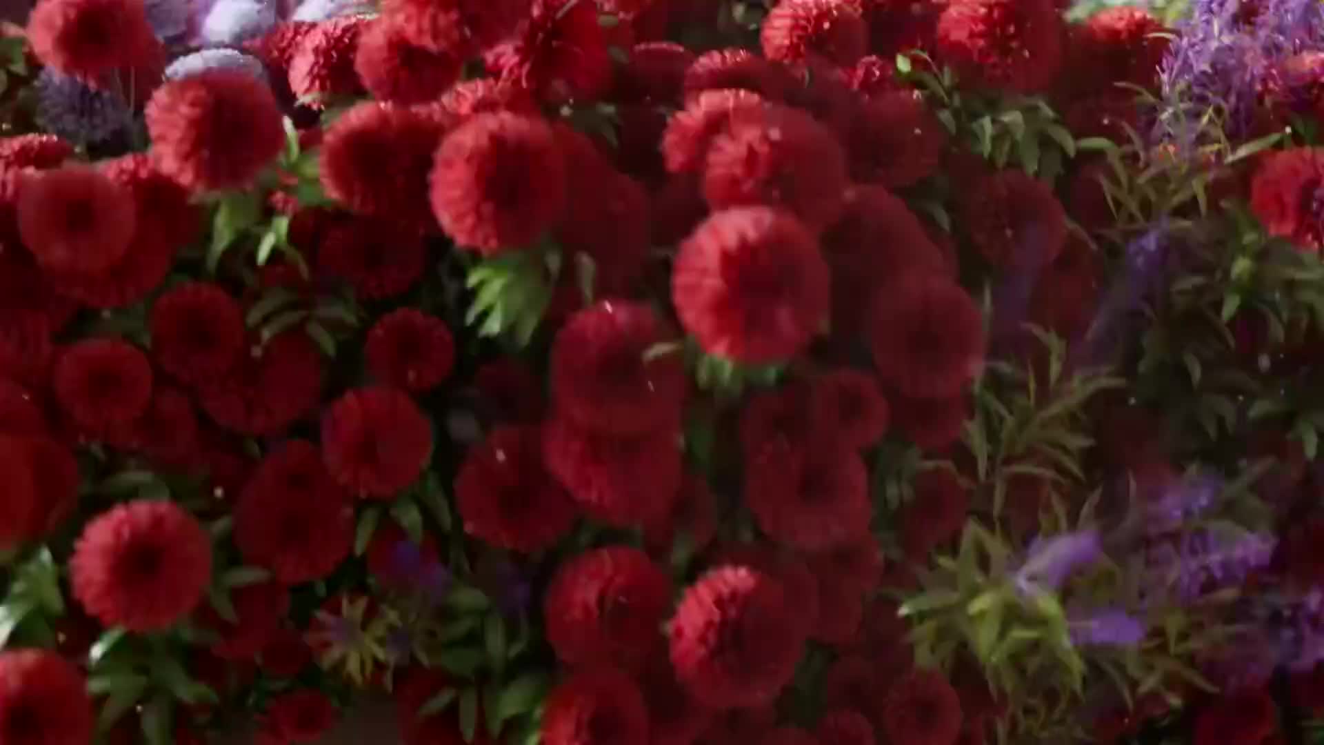 ViasatNature