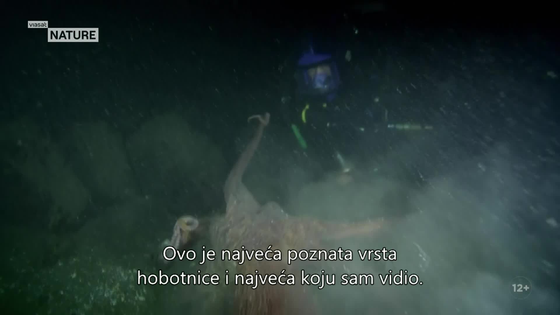 ViasatNature