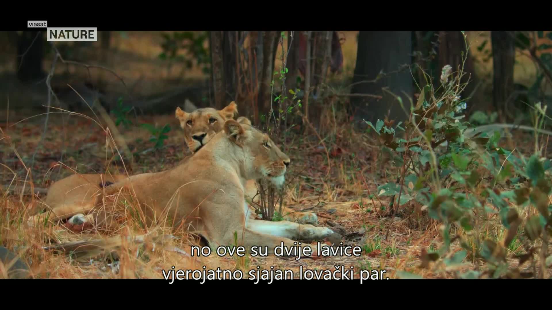 ViasatNature