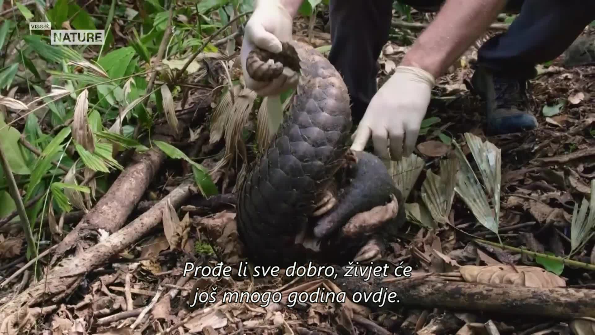 ViasatNature