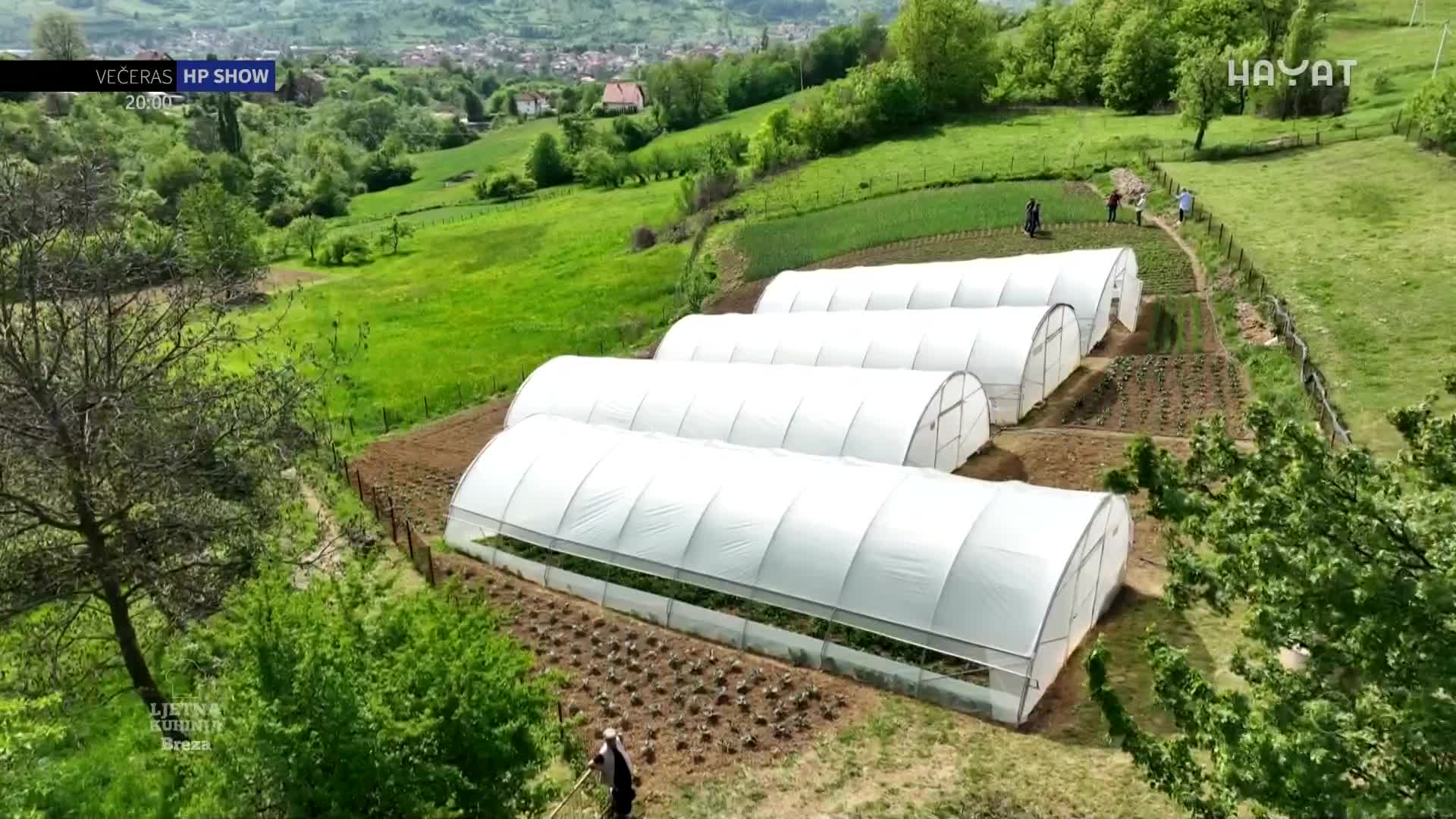 hayat