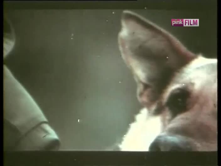 PinkFilm