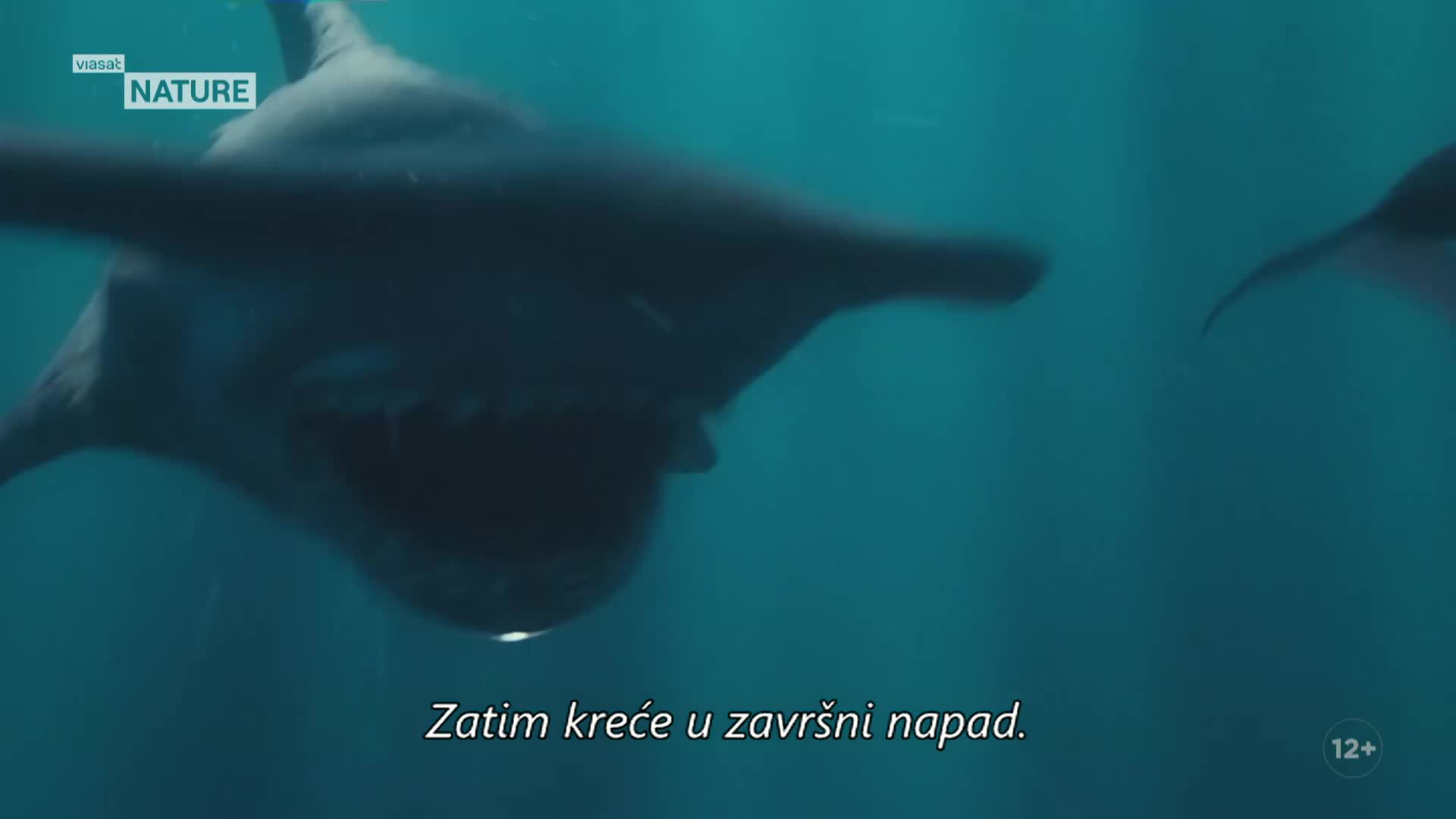 ViasatNature