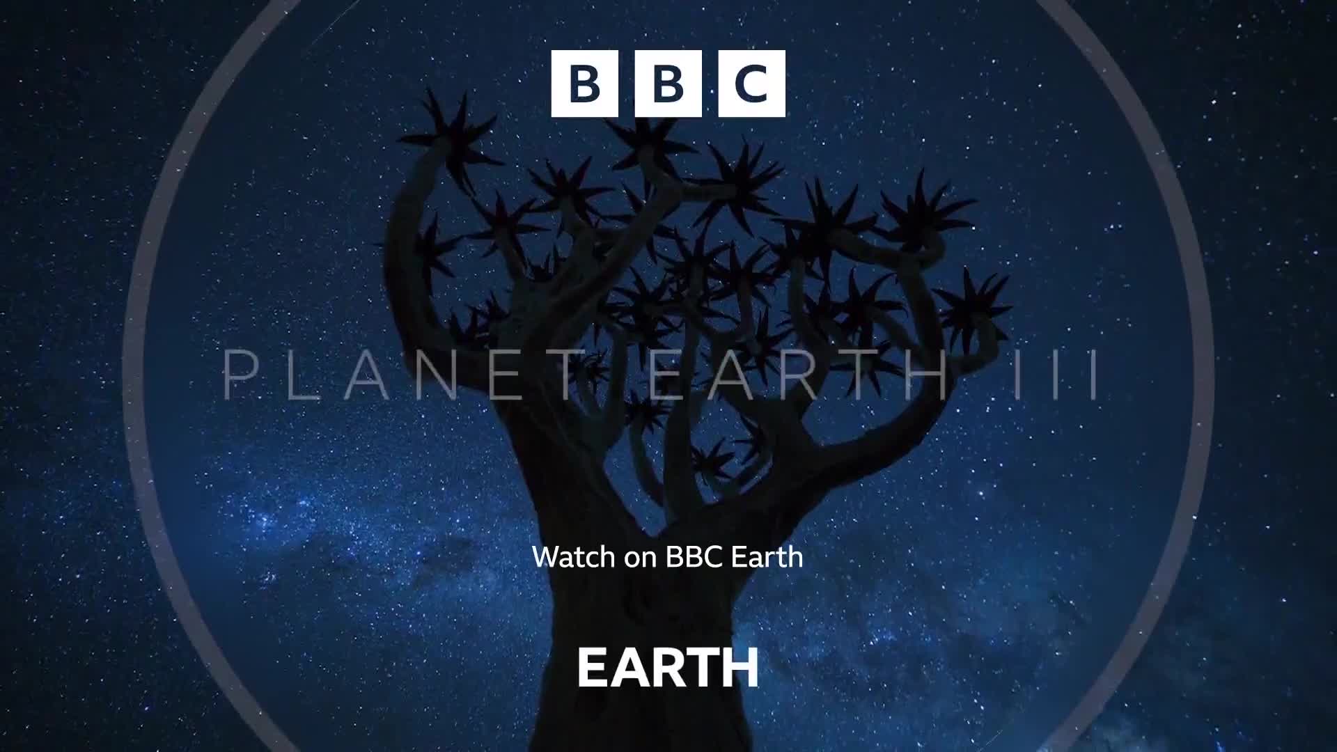 BBCEarth