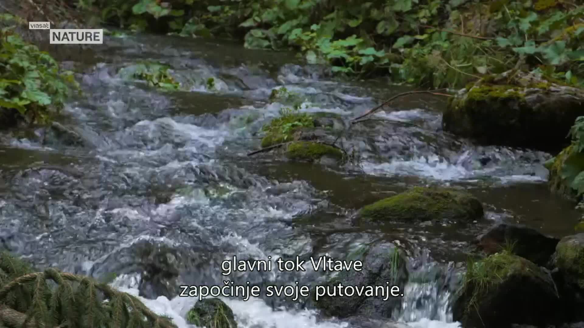 ViasatNature