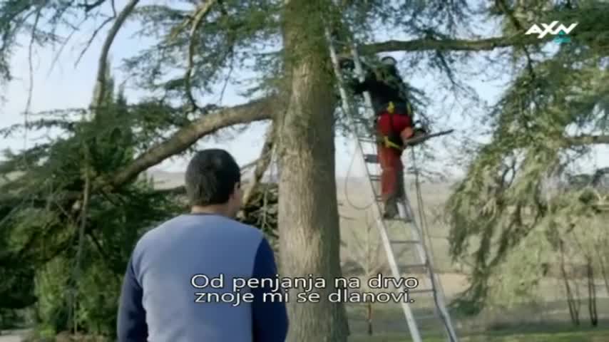 AXNSpin