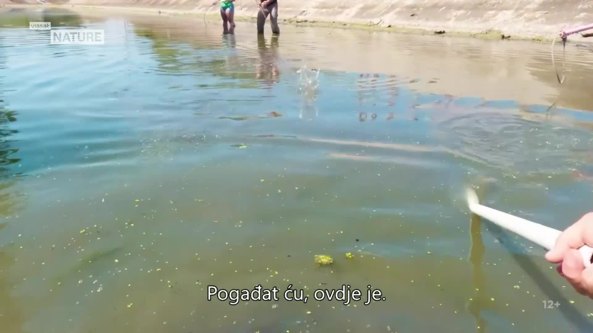 ViasatNature
