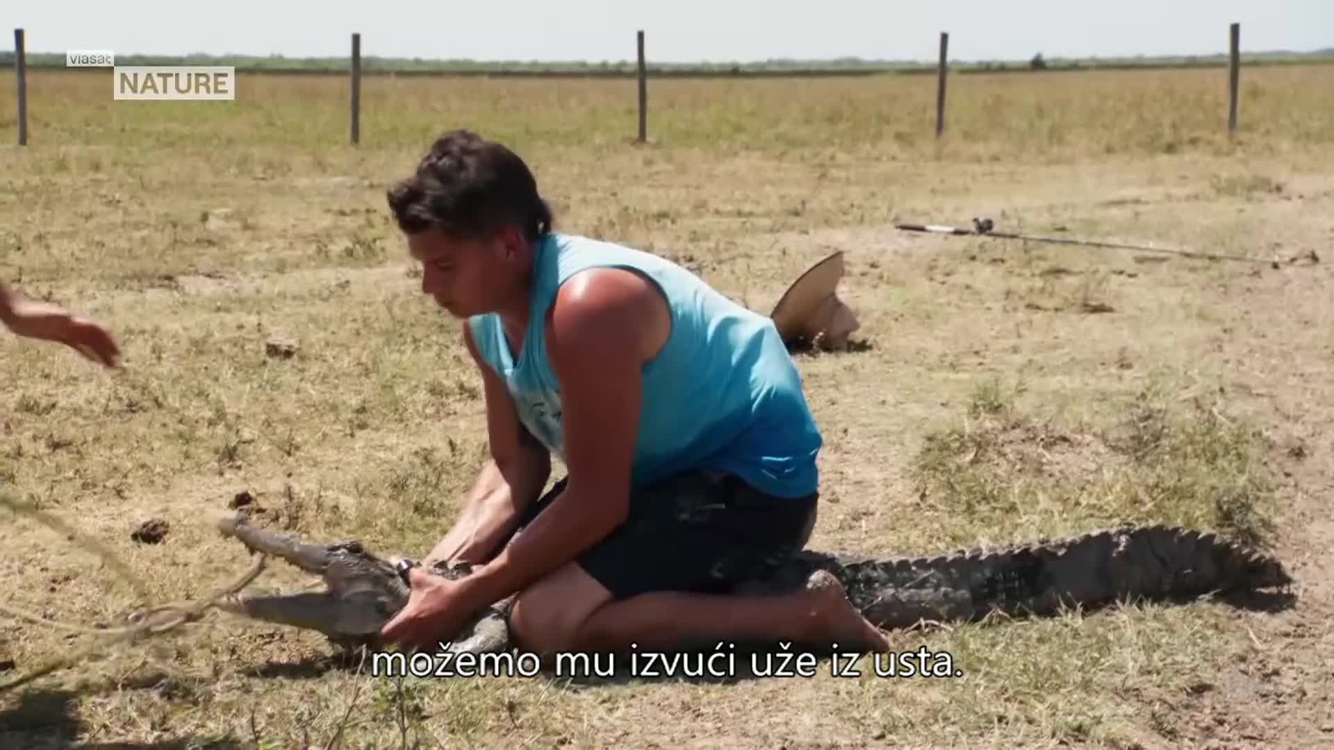 ViasatNature