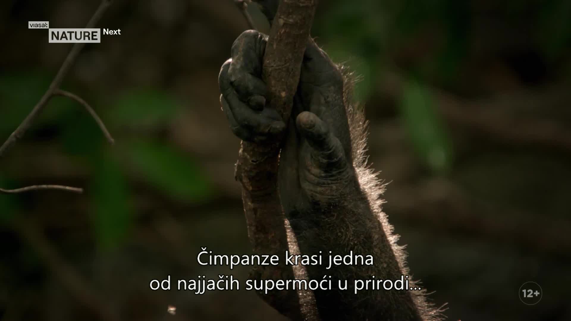 ViasatNature