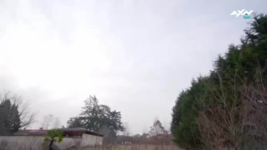 AXNSpin