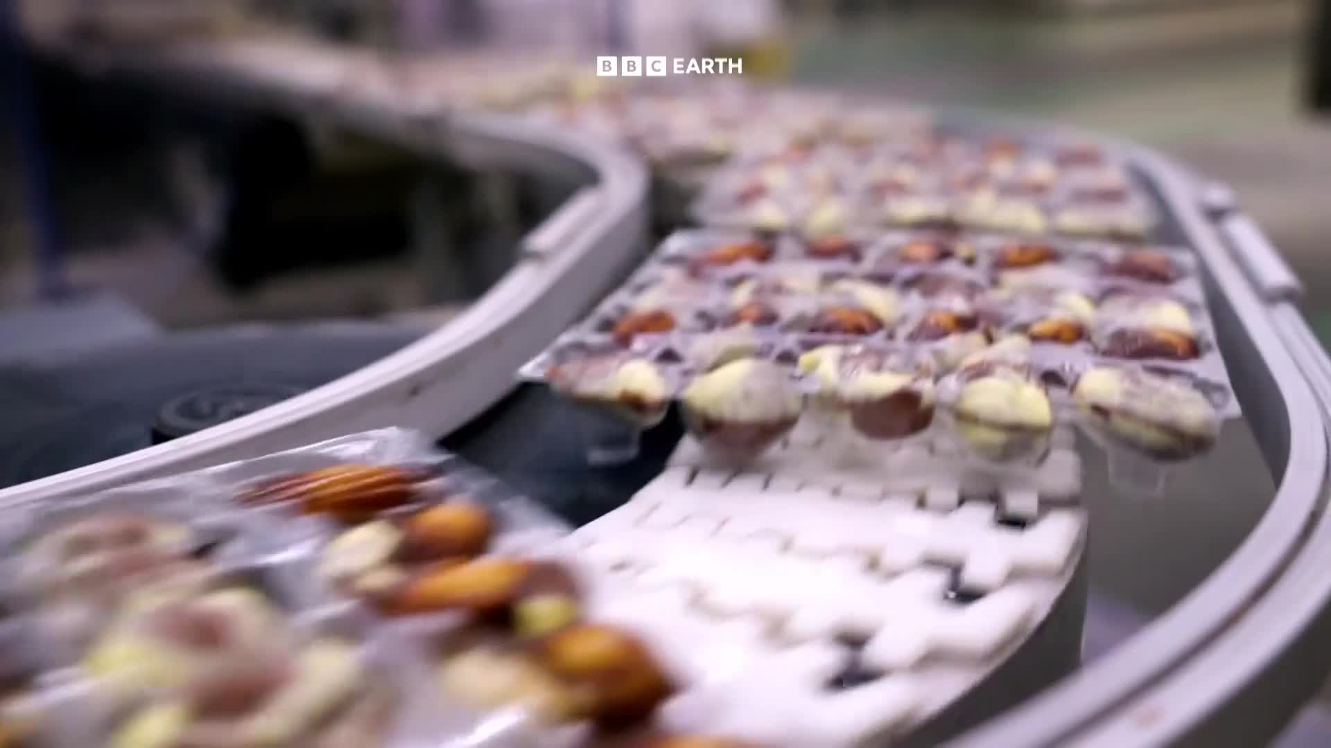 BBCEarth