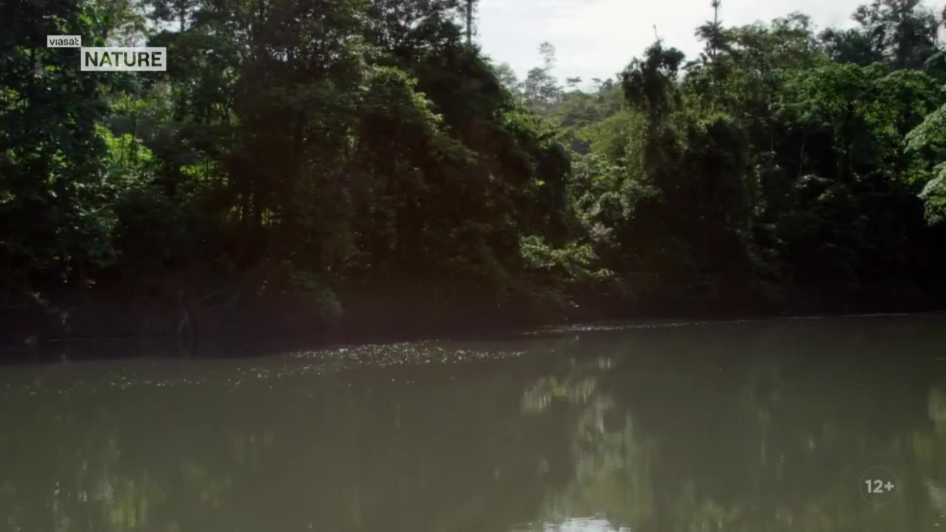 ViasatNature