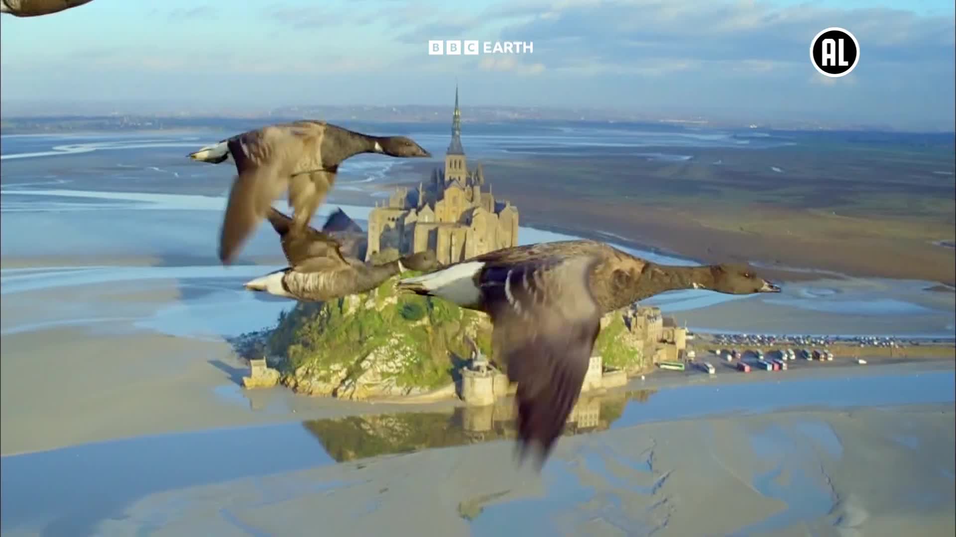 BBCEarth