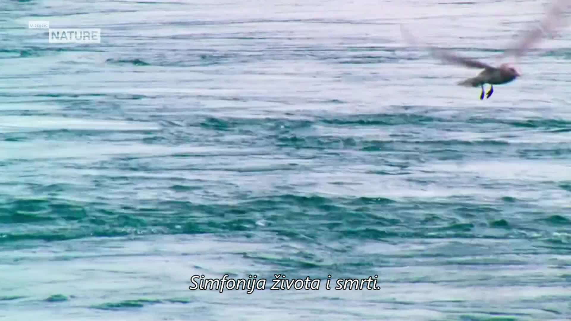 ViasatNature