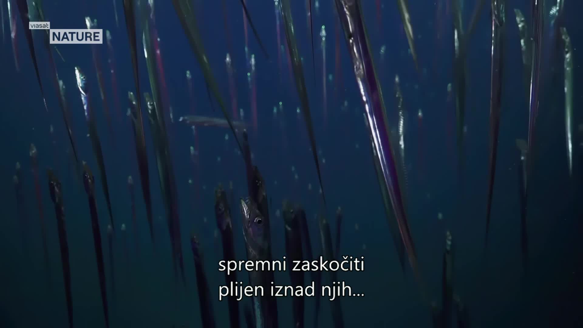 ViasatNature