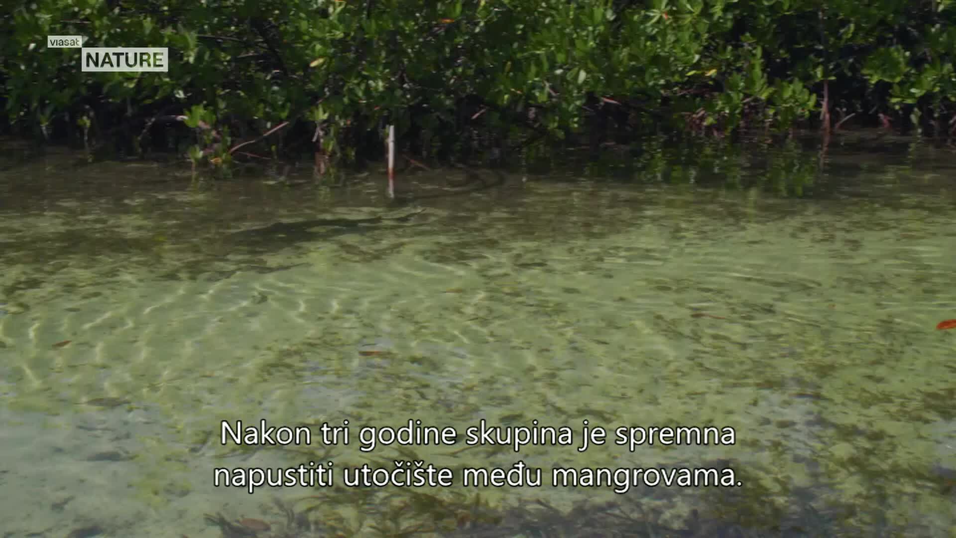ViasatNature