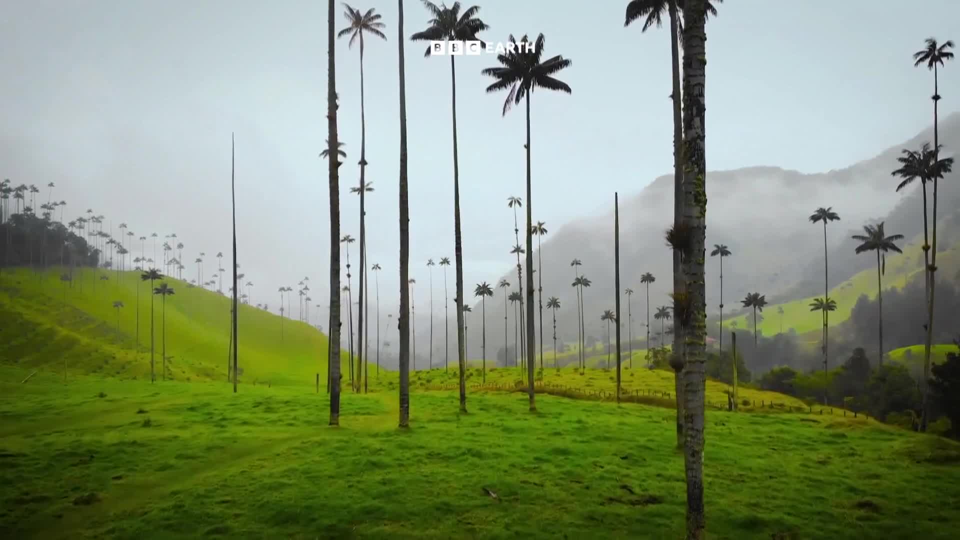 BBCEarth