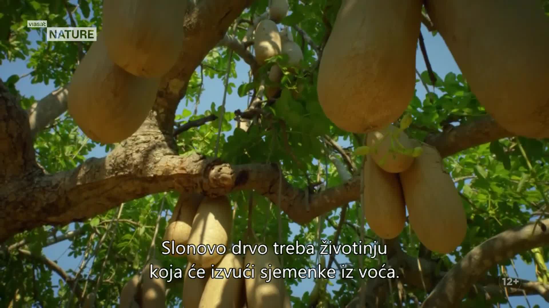ViasatNature
