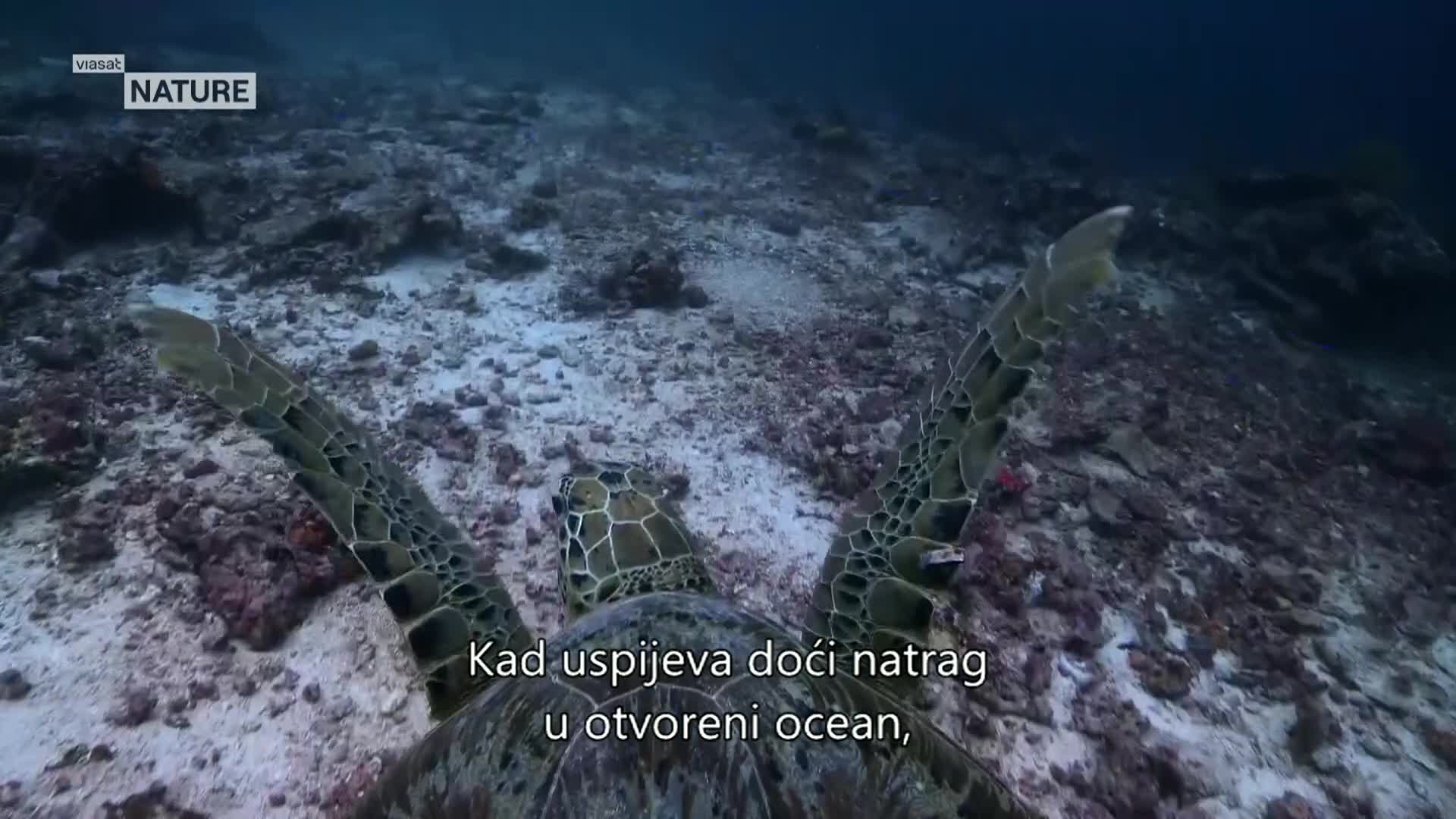 ViasatNature