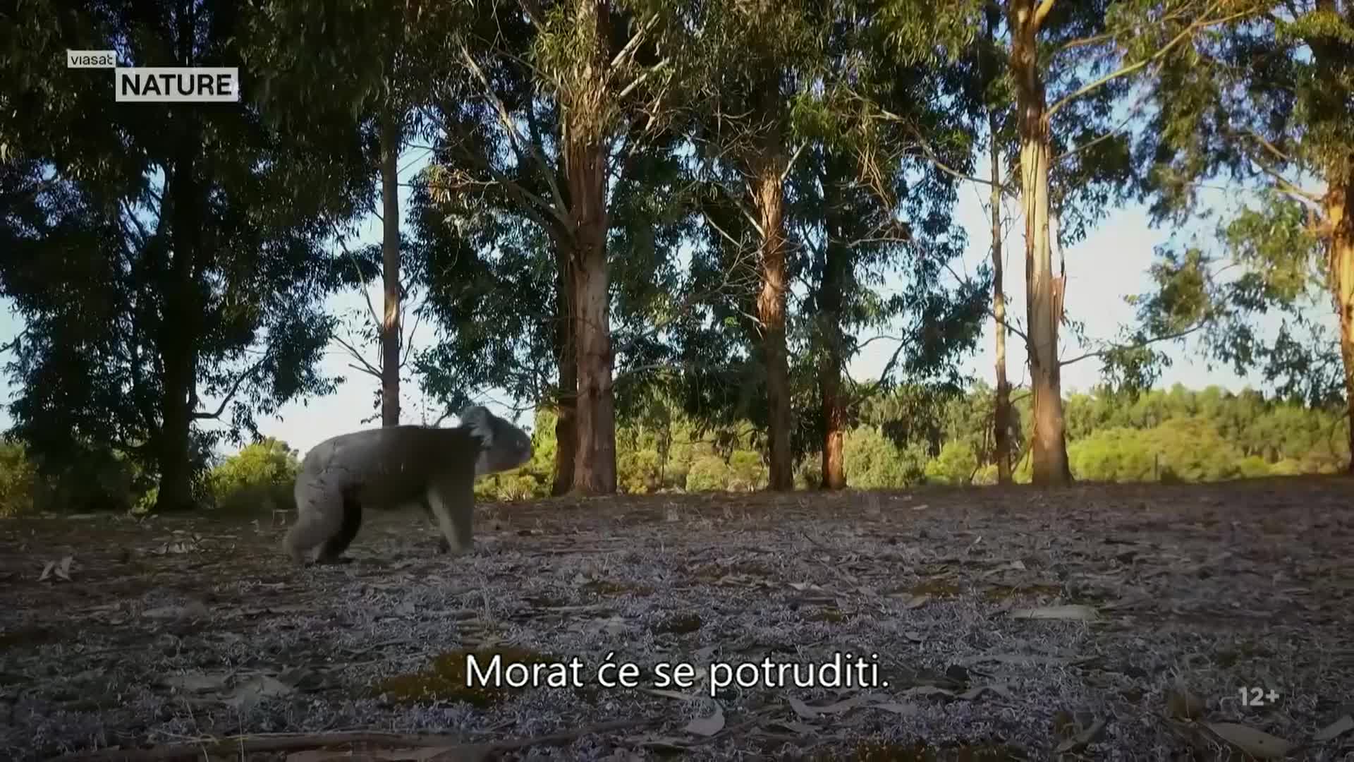 ViasatNature
