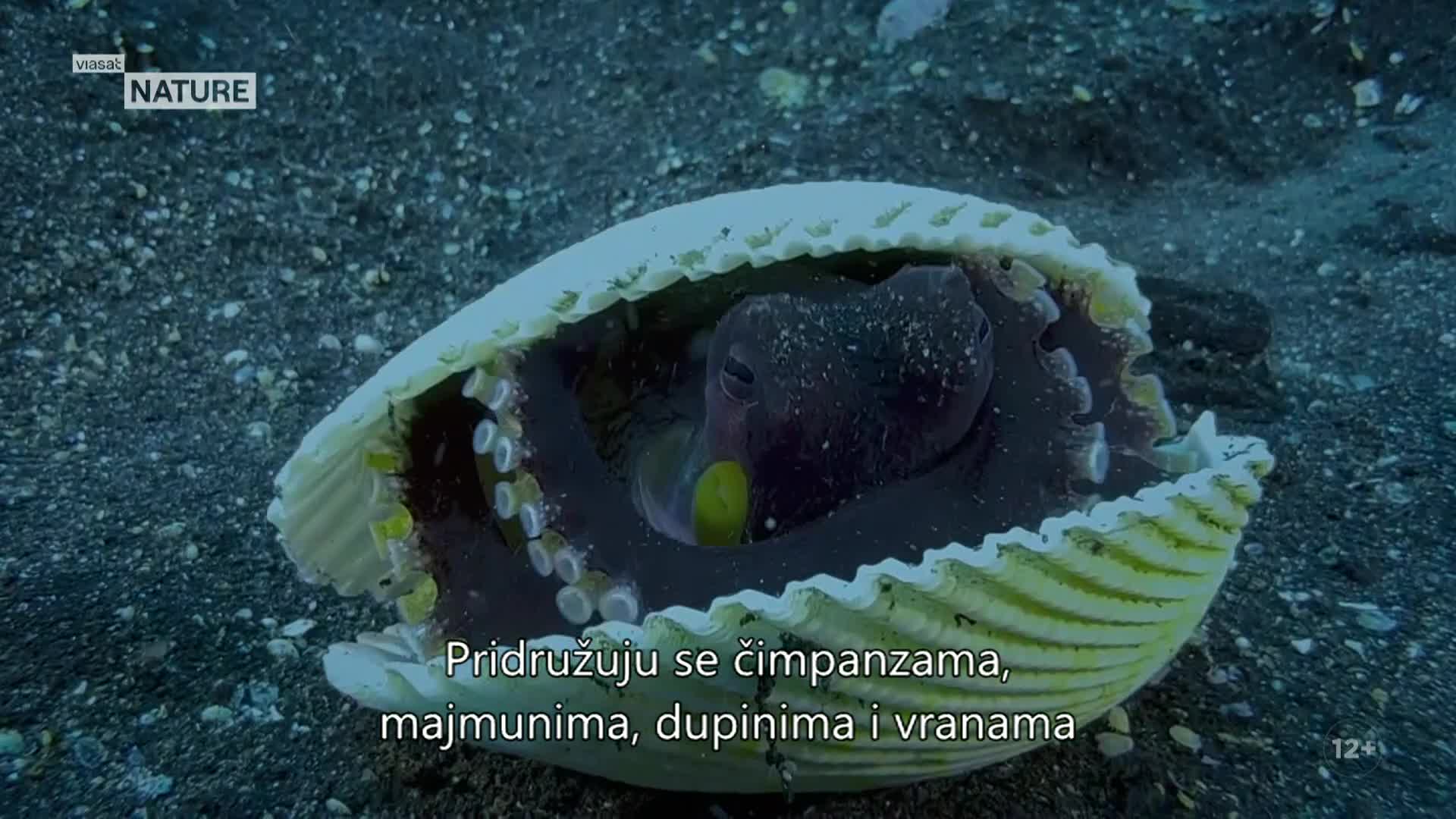 ViasatNature