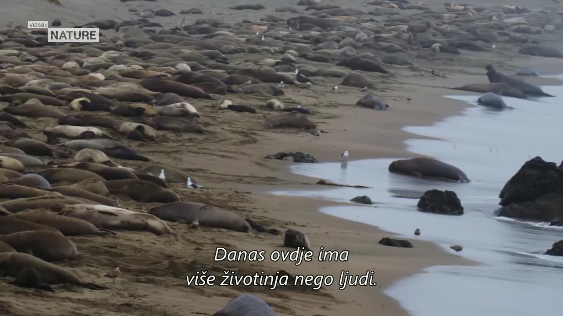 ViasatNature