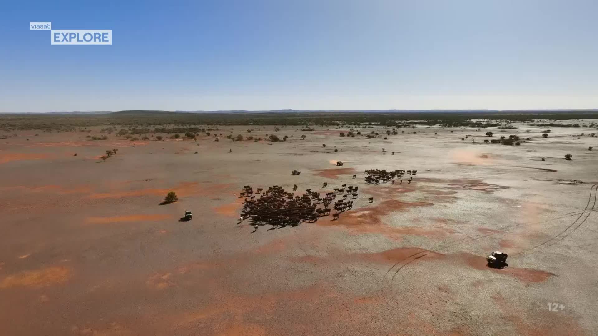 ViasatExplore