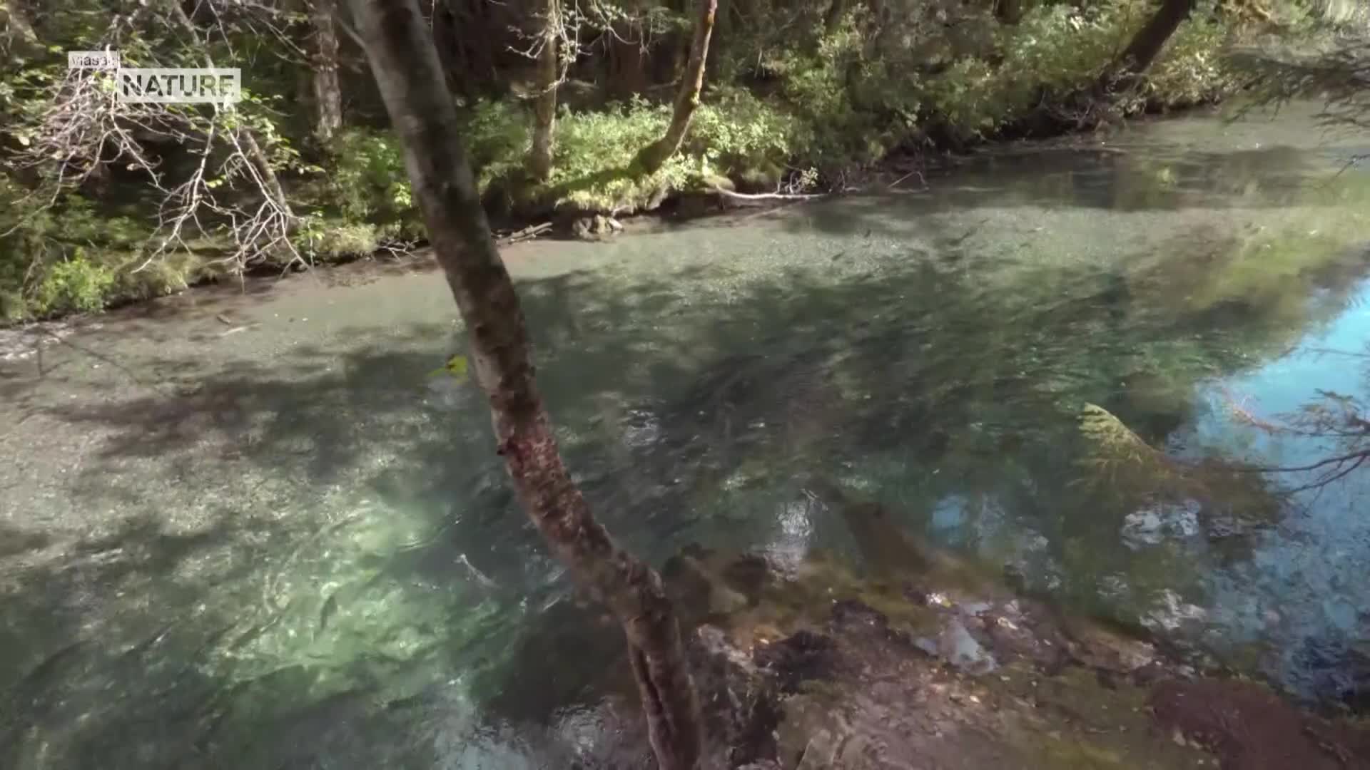 ViasatNature