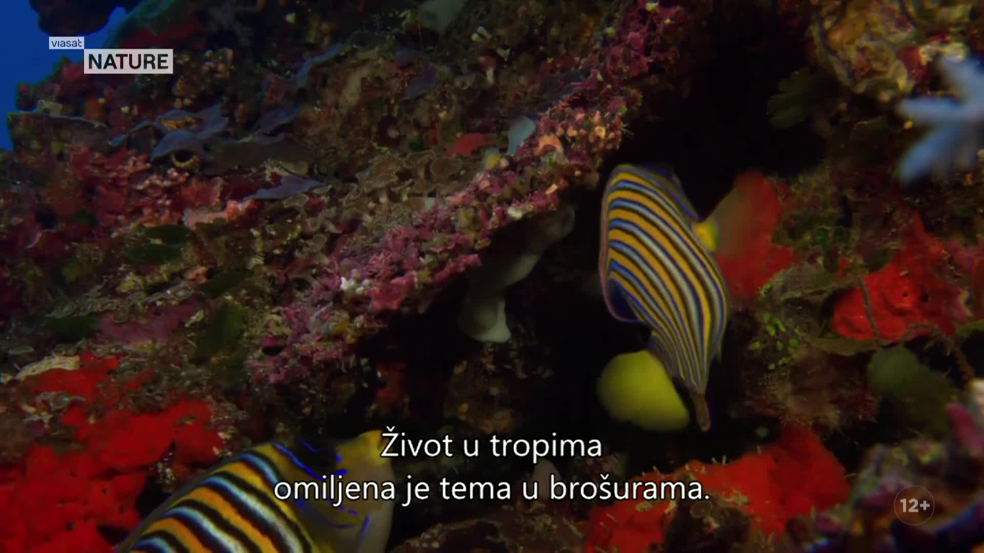 ViasatNature