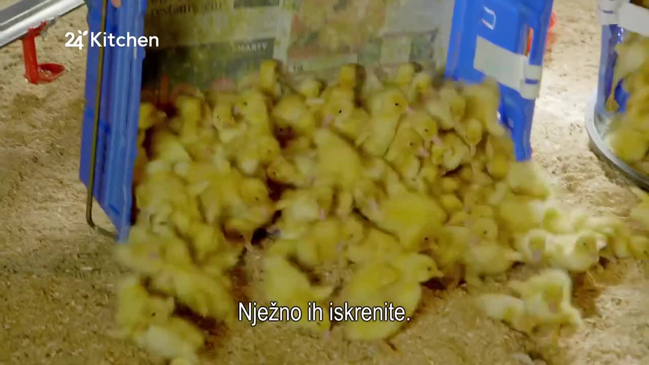 24Kitchen