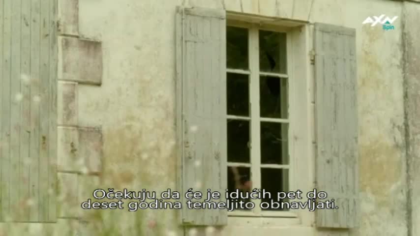 AXNSpin