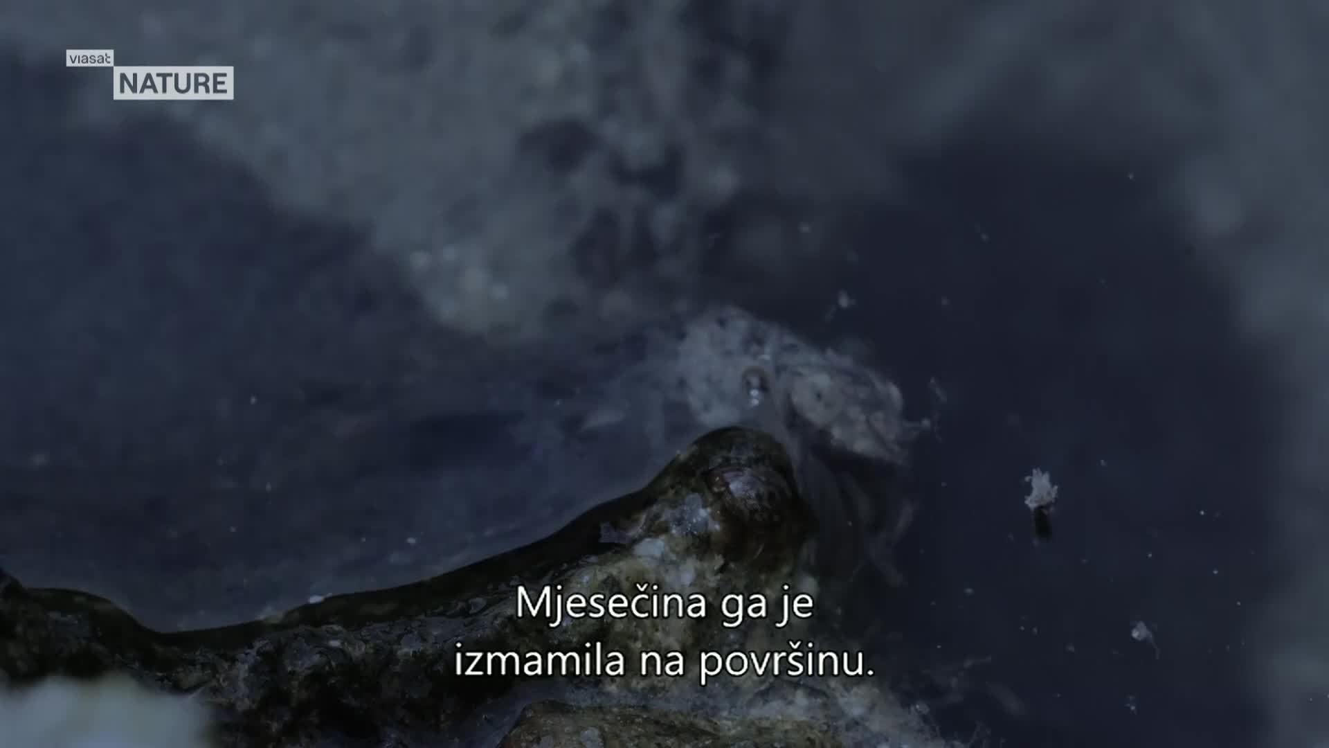 ViasatNature