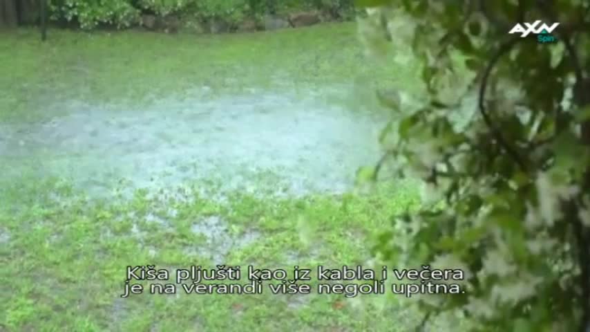AXNSpin