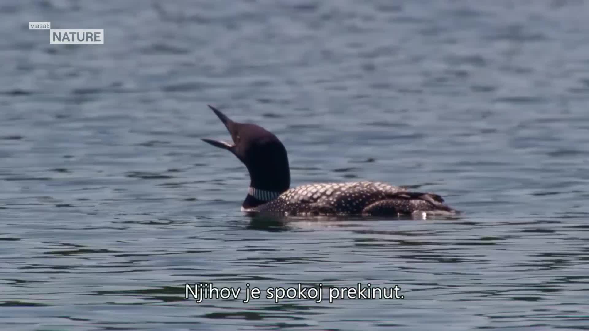 ViasatNature