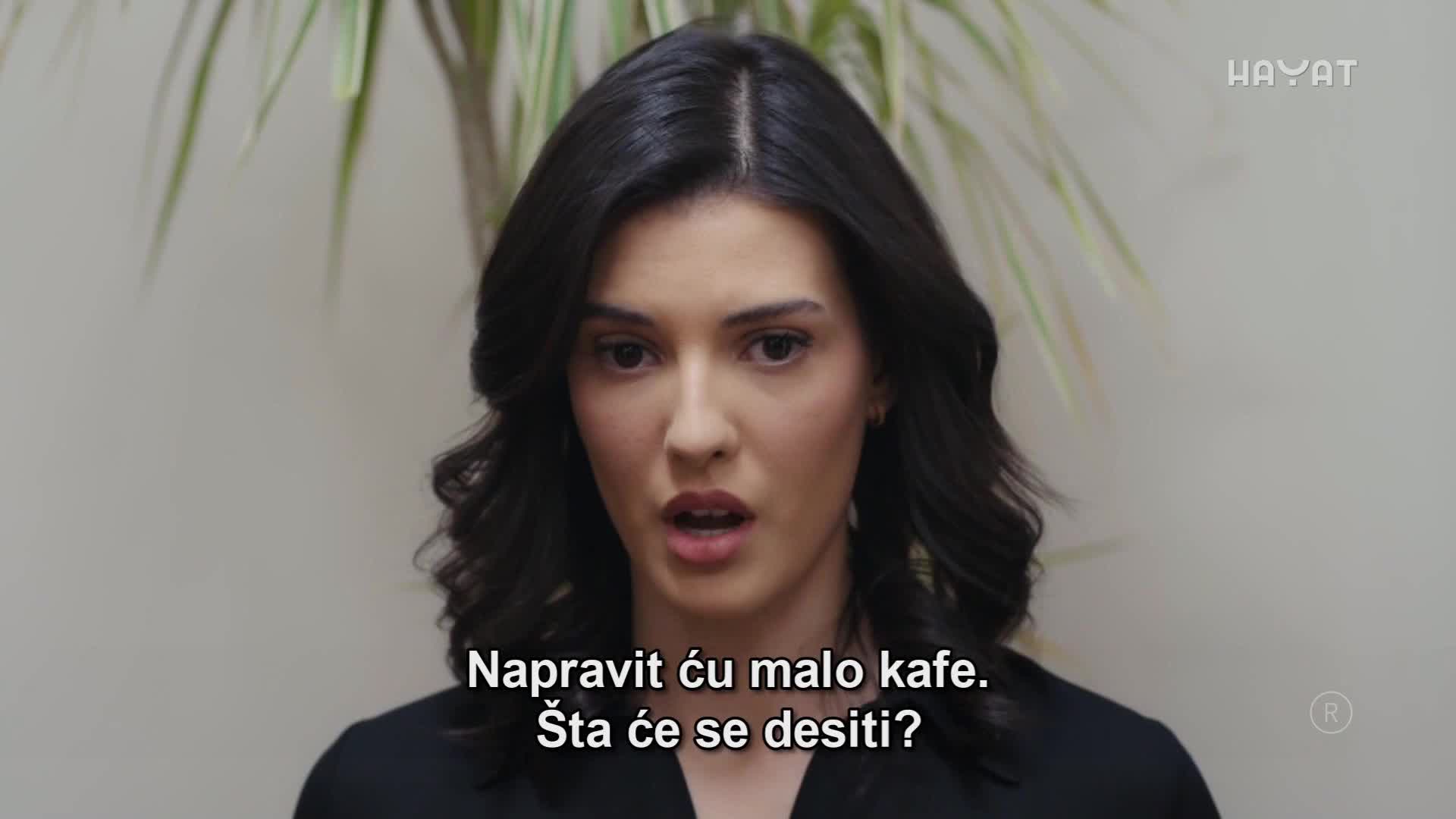 hayat