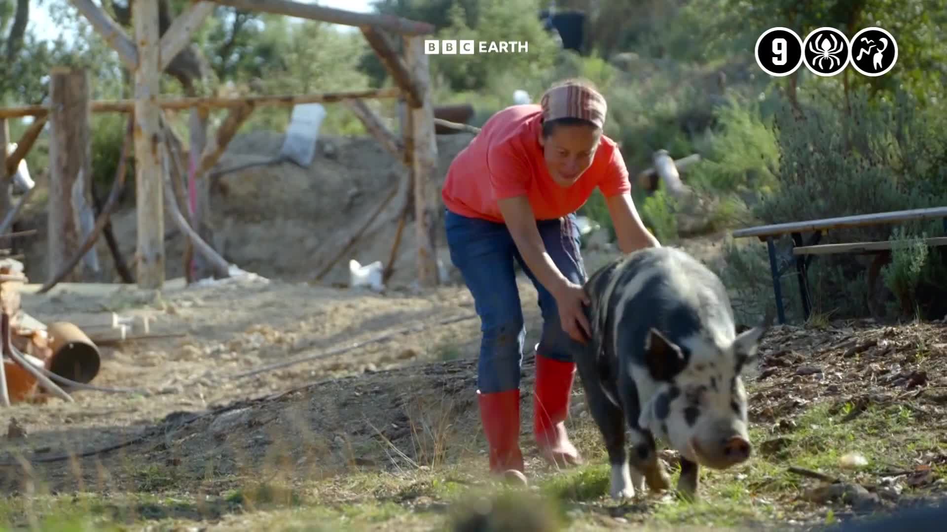 BBCEarth
