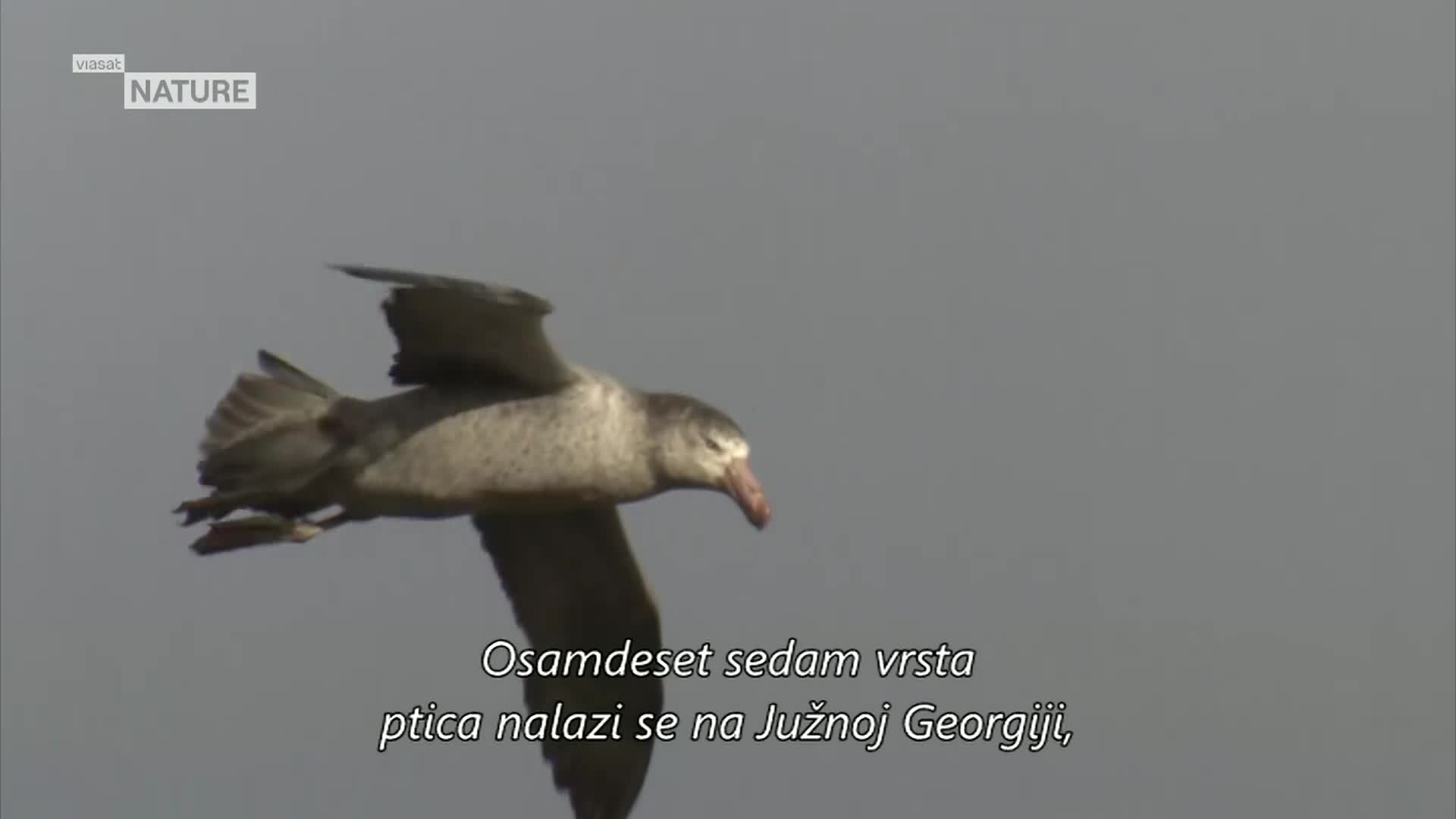 ViasatNature