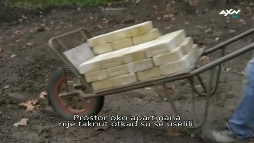 AXNSpin