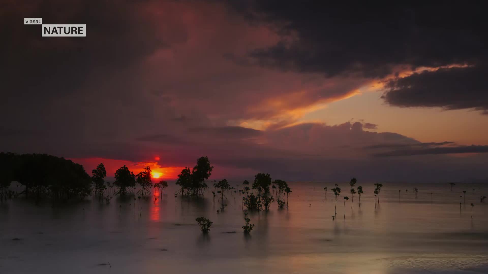 ViasatNature