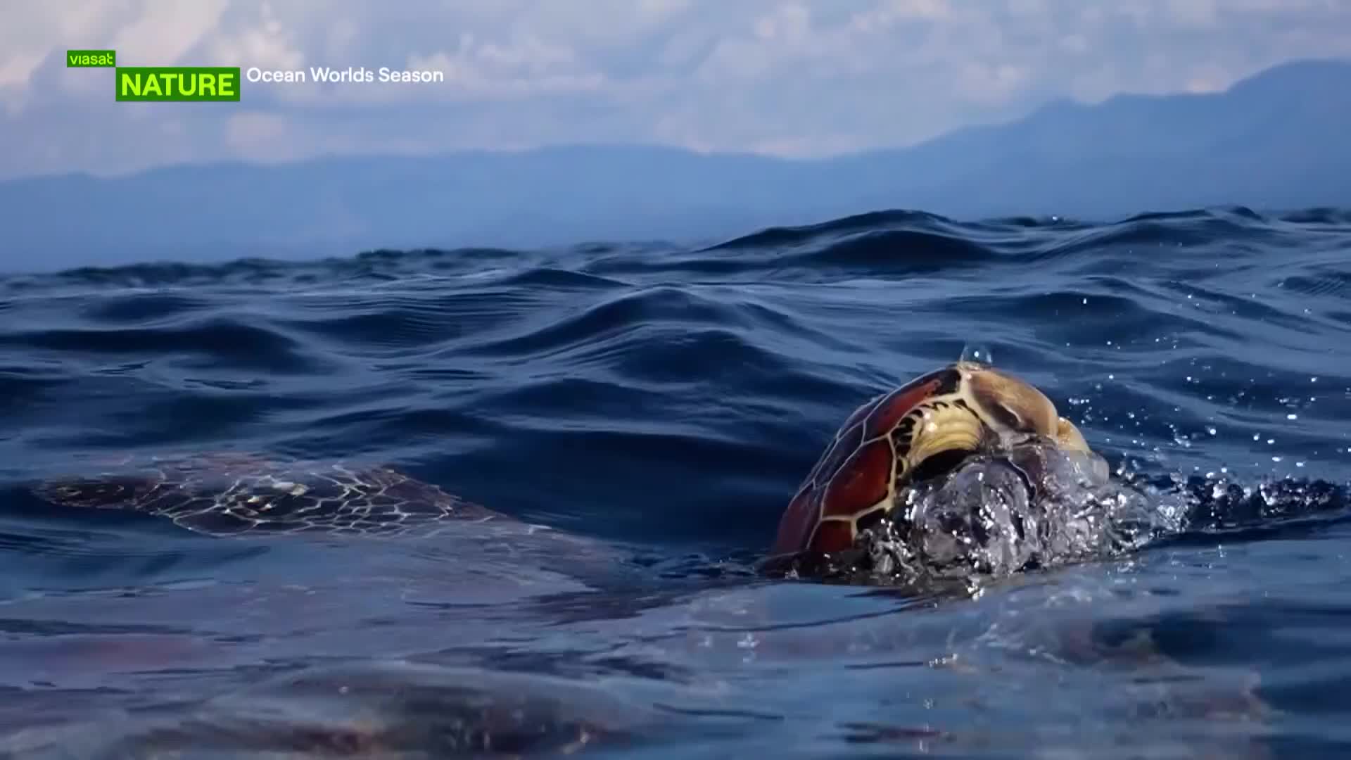 ViasatNature