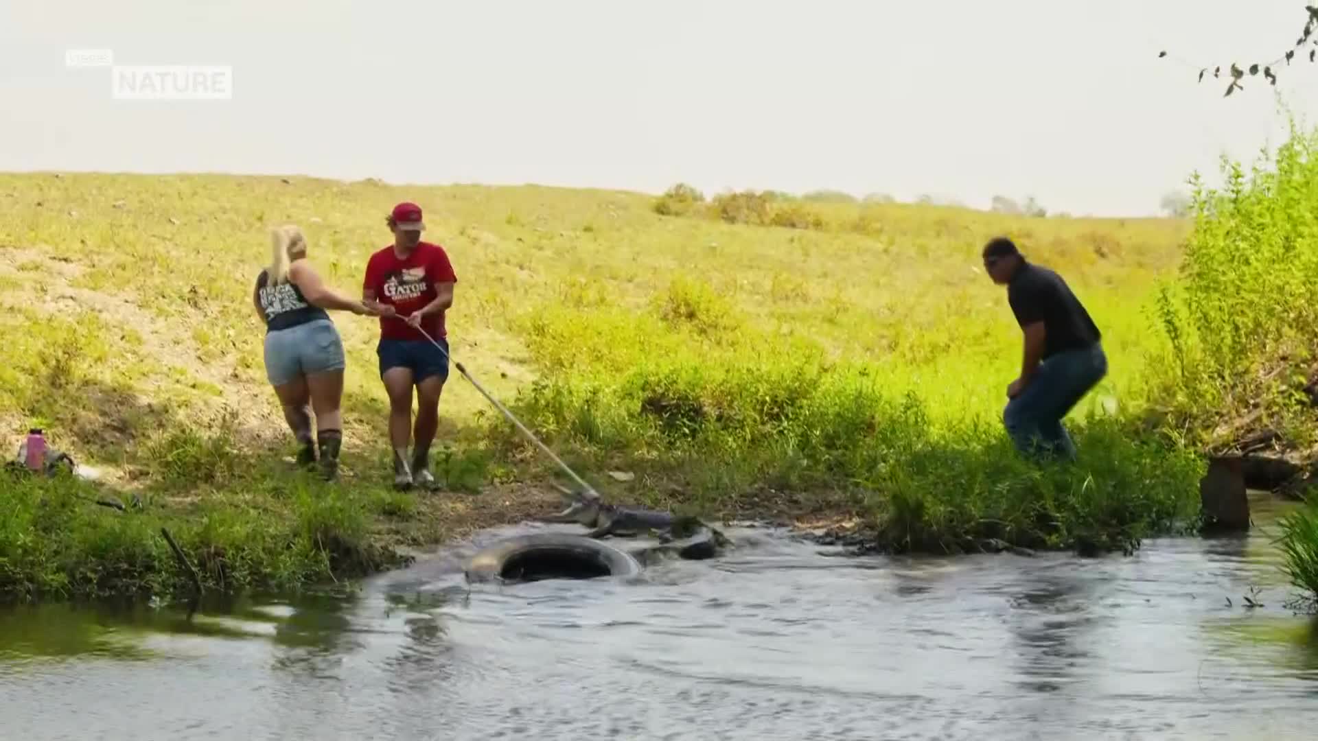 ViasatNature