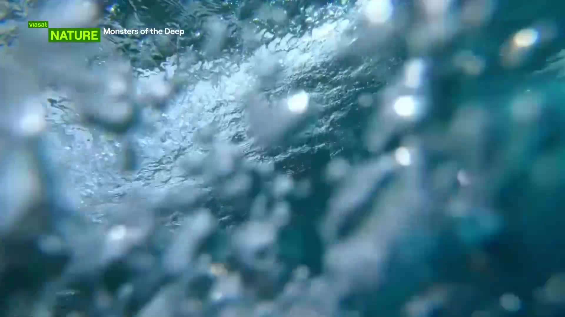 ViasatNature