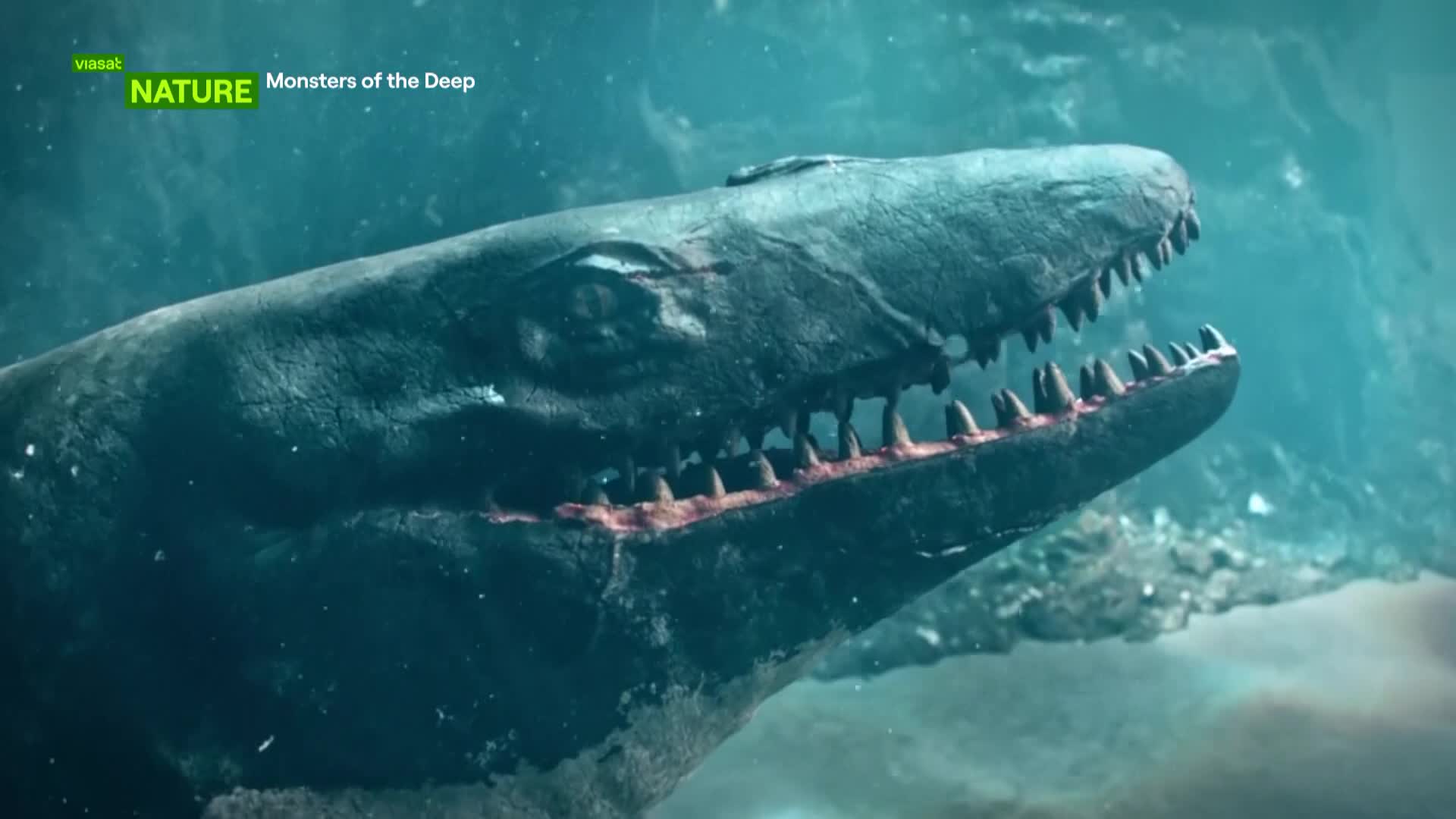 ViasatNature